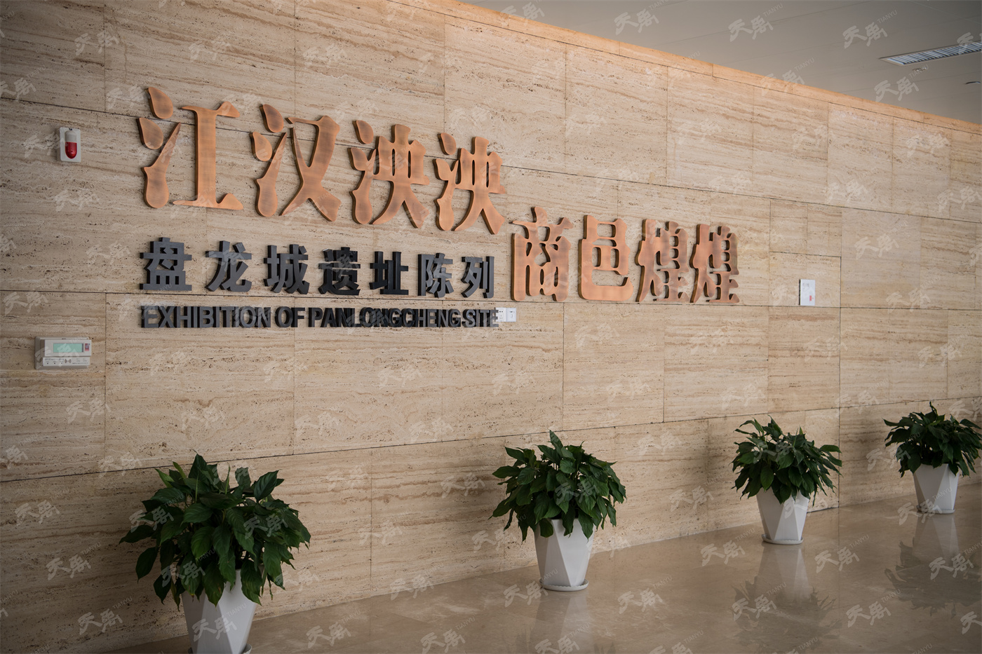 ���Ρ�����(�й�)���¹ٷ���վ