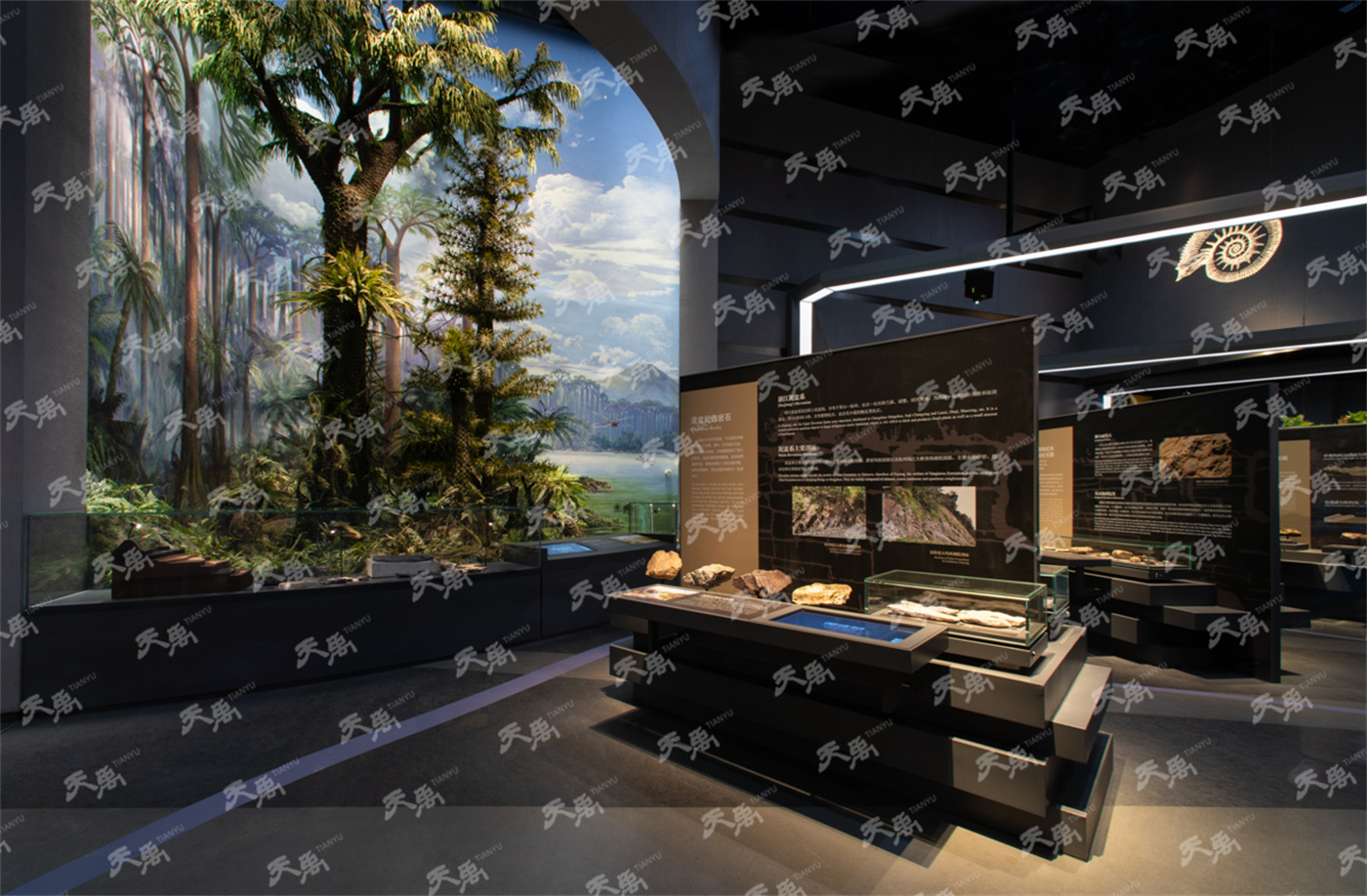 ���Ρ�����(�й�)���¹ٷ���վ