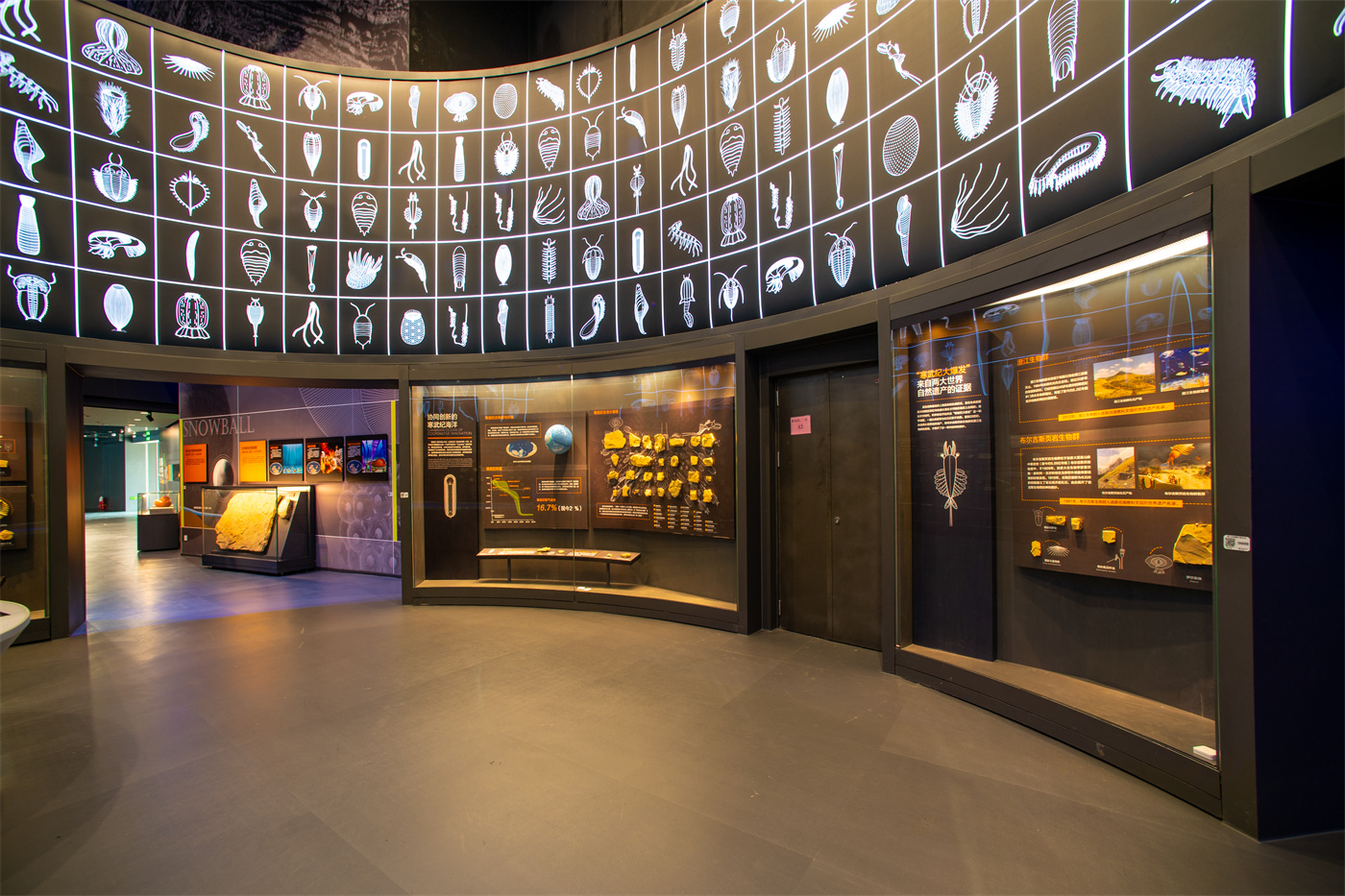 ���Һ�����ݻ�������