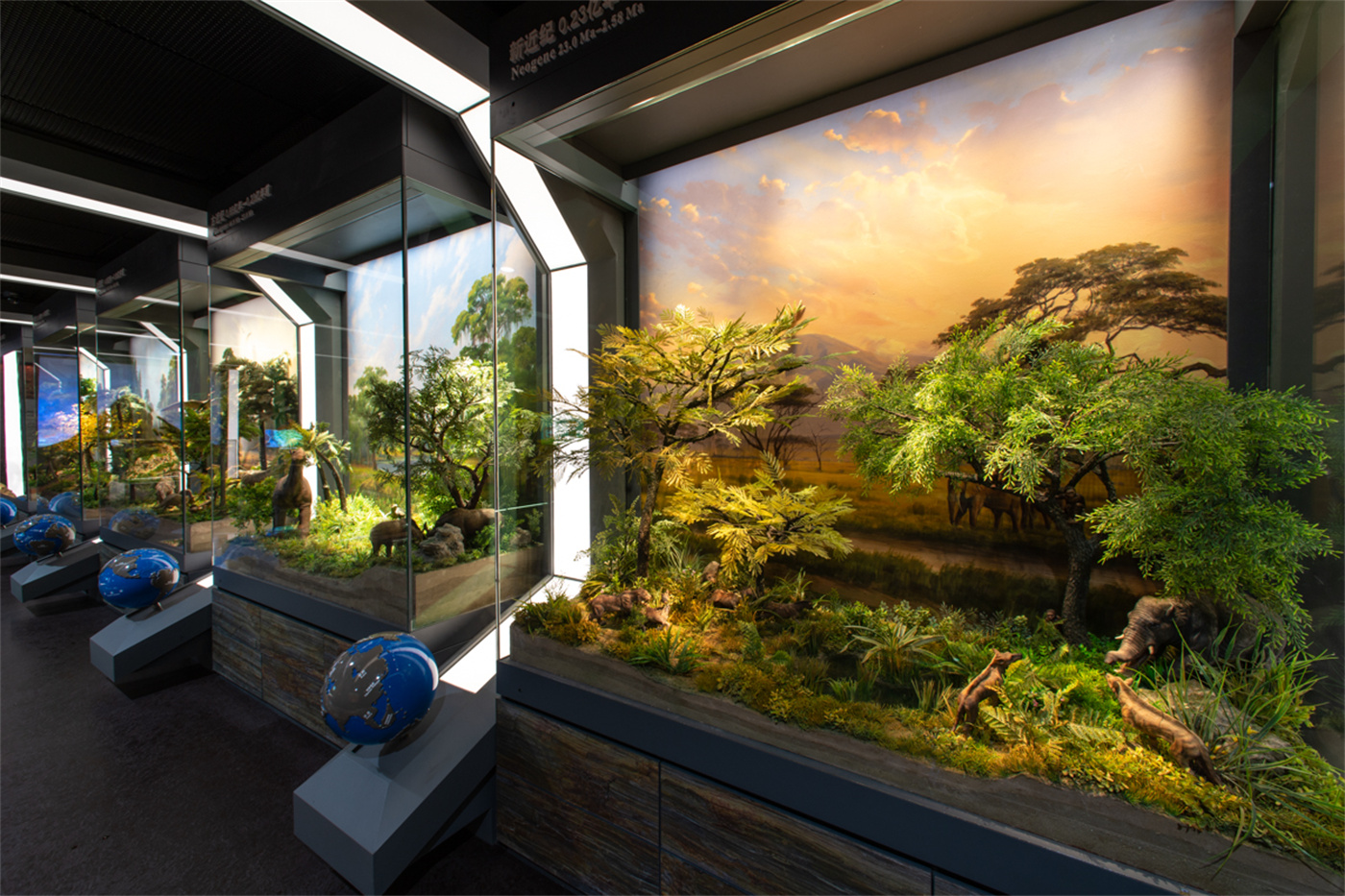 �㽭��Ȼ����Ժ�����ݻ�������