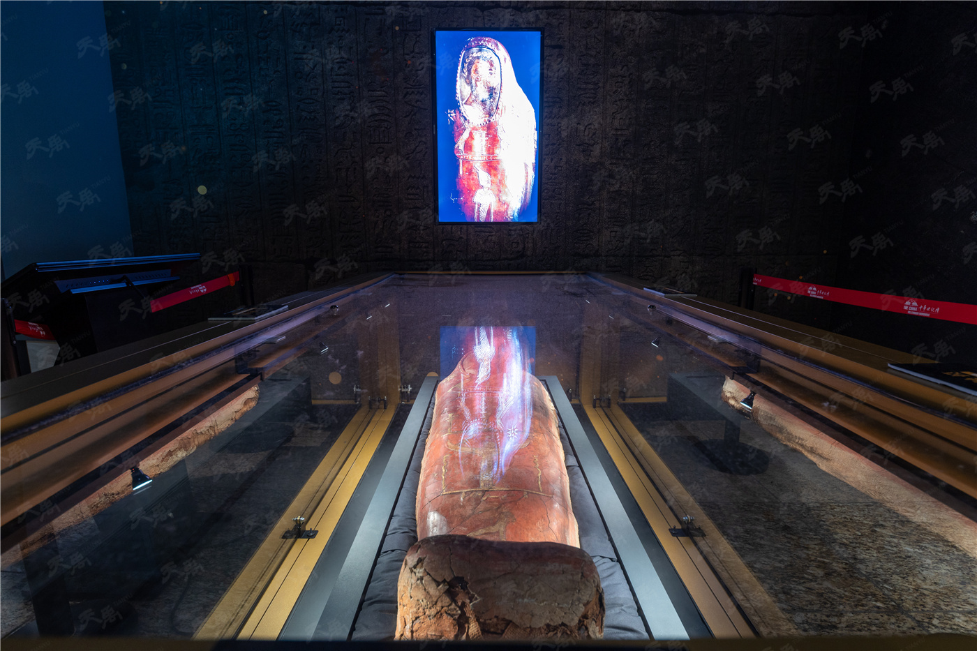 ���Ρ�����(�й�)���¹ٷ���վ