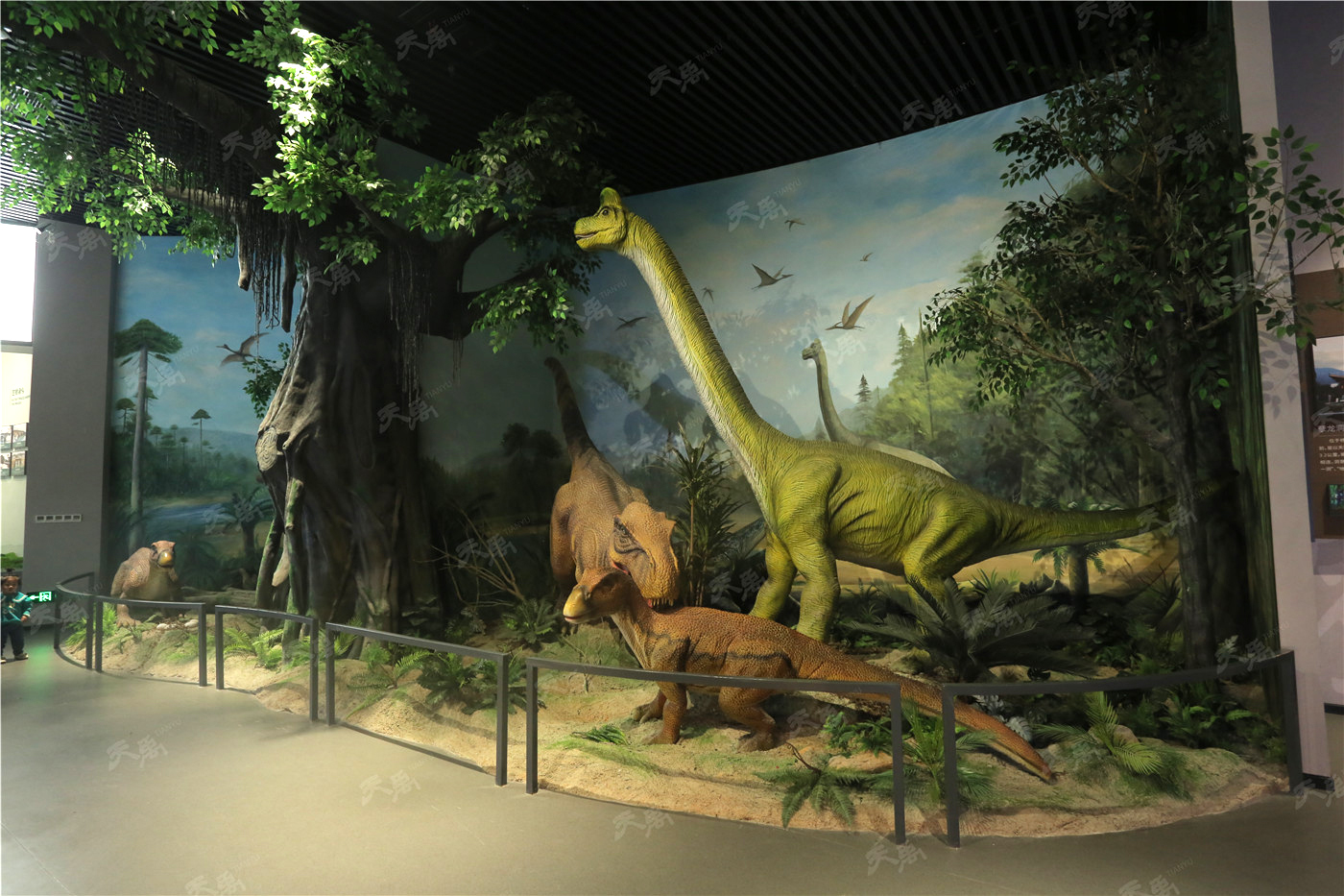 ���Ρ�����(�й�)���¹ٷ���վ